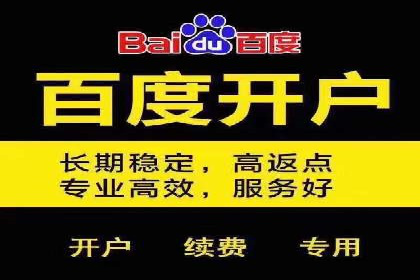 成功案例分享：Sem优化公司助力品牌增长